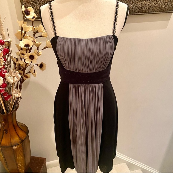 BCBG Max Azaria 🩶🖤Size 4. Beautiful unique Dress 🩶🖤 Fine Pleats & Chains🩶🖤 - Picture 7 of 13